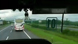peluru