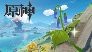 《原神》摄影——突破材料