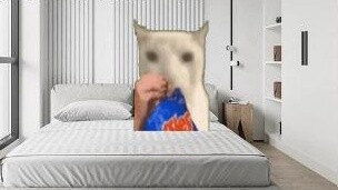 【Meme kucing】Merekam kunjungan pertama saya untuk menemui Ahn Yu-jin