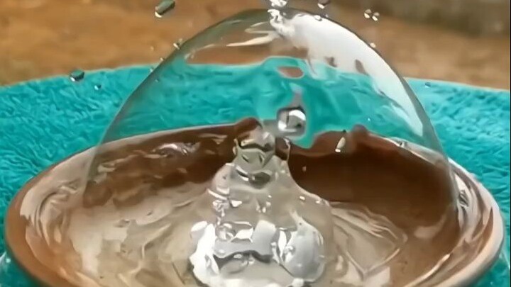 شيء ممتع ويشفي القلب لا بد أن أشاركه معك بالطبع!