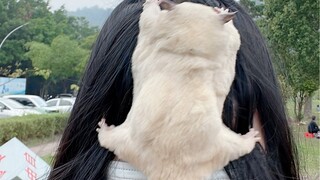 这操作，给我整不会了