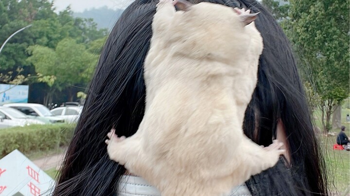 这操作，给我整不会了