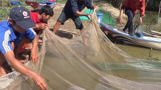 BẮT CÁ NHIỀU QUÁ NHÓM SẼ LÀM GÌ - TT149