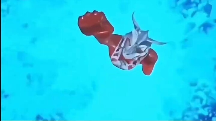 Zero: Lihat aku menerima tendangan terbang Leo