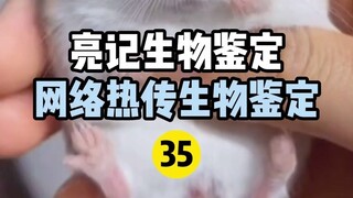 【การทดสอบทางชีวภาพของ Liangji】การระบุทางชีวภาพแบบฮอตทางอินเทอร์เน็ต 35