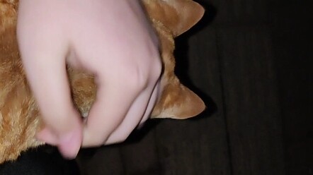 กลางดึกถูกขังไว้นอกประตูสนาม ได้พบกับเด็กน้อยน่ารัก