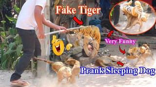 Fake Tiger Prank Dog   Very Surprise Scared Reaction   Must Watch Most Funny Prank