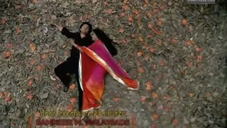 Shree (2008-2009) - Indian Hindi Horror Serial episode-107