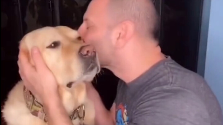 Kepala si anjing kesayangan — apa ya reaksi si anjing?