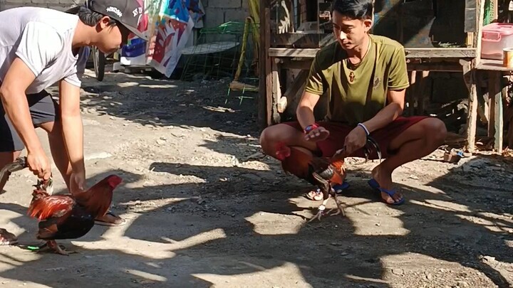 pak2x sugat.