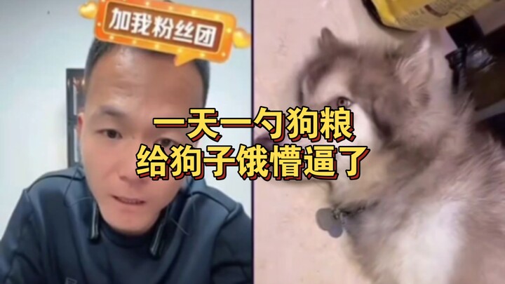 วันละช้อนอาหารสุนัข ทำเจ้าตูบหิวจนมึนไปเลย