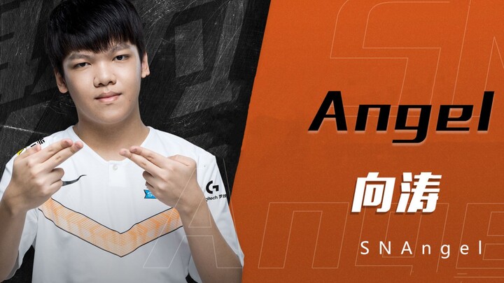 [E-Sports Encyclopedia] Angel’s Dream Shattered at the Bird’s Nest: Furious Outburst Against Pro Pla