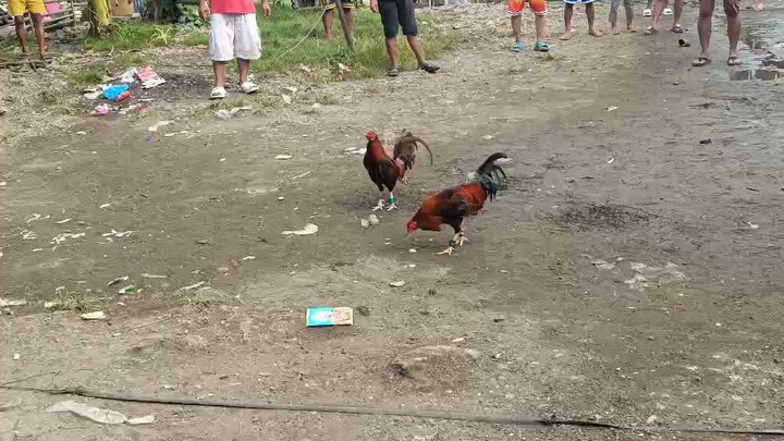 #lose pero sulit patay din kalaban kahit magulang na