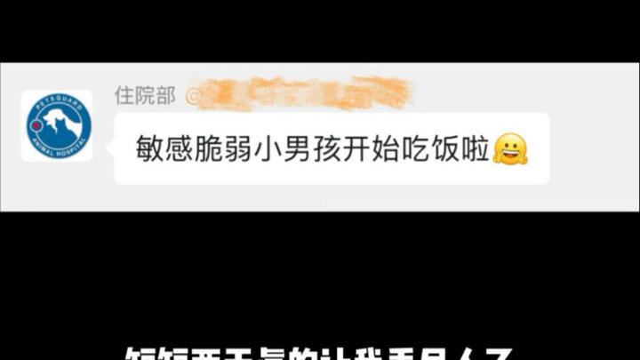 ลูกสุนัขราศีพฤษภไปโรงพยาบาล บอกเลยว่า: แม่ฉันเสียเงินแล้ว