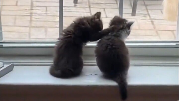 “The world is falling apart, but the little cat mends it piece by piece.”