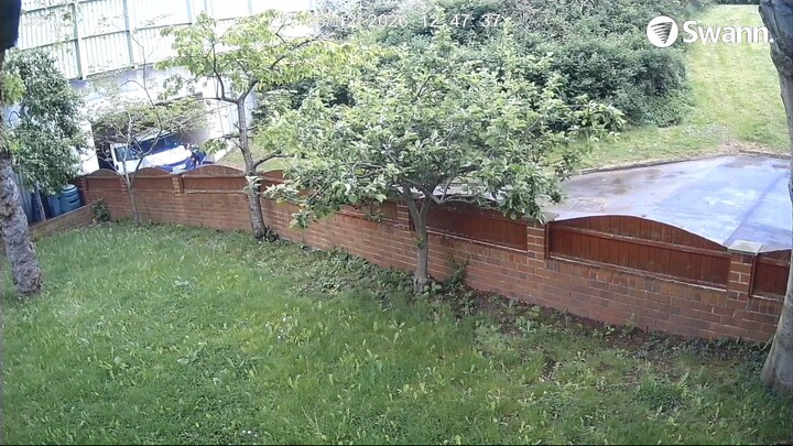 Pole Thieves and Hulk in Barnsley, VAUXHALL 2000 COMBO DS65YTP - 20260512-124647