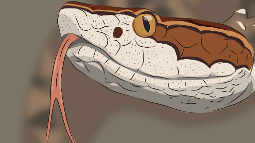 So Cute #มือใหม่ทำวิดีโอ