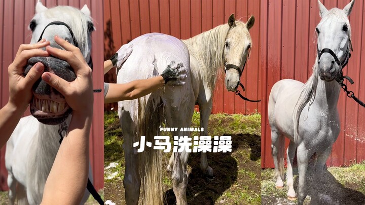 Dirty pony, I can’t wait to hose you down‼️