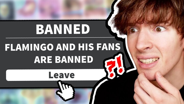 ROBLOX GAME BANS ALL FLAMINGO FANS