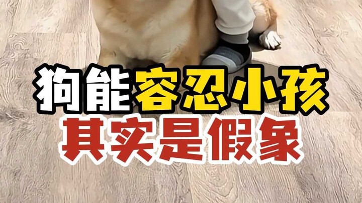 你觉得狗对小孩真有那么容忍？