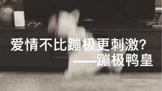 البطة الأكثر مهارة في البحث عن الإثارة على الإنترنت بأكمله!