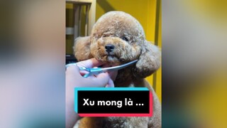 Gửi tâm sự đến với mami  tamsu  tinhyeu thucung xuhuong