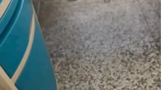 How to prove you are not mentally ill?