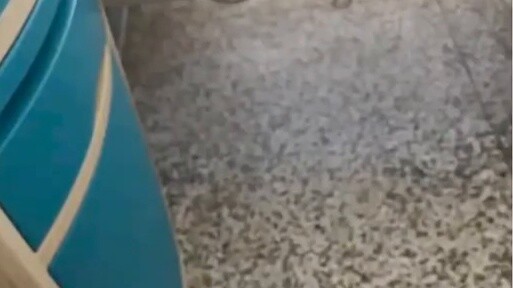 Làm thế nào để chứng minh bạn không bị bệnh tâm thần?