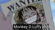 Monkey D Luffy