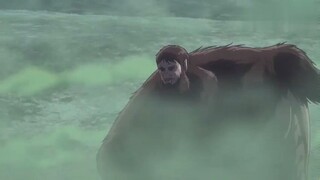 Hot Blood - The Soldier Cuts the Monkey