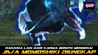 RAHASIA LAIN DARI KARMA BORUTO MENGENAI JIWA MOMOSHIKI DIUNGKAP CODE