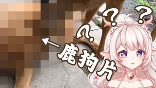 卧槽这是在干嘛 这是我能看的吗