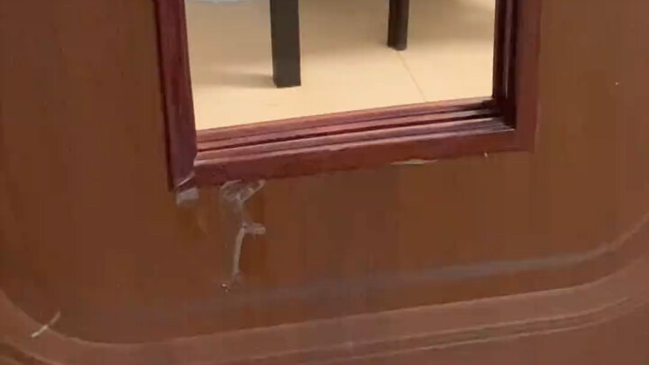 الأم الحقيقية