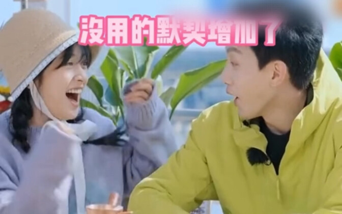 Fan Shiqi thoroughly takes control of the wild boar family.
