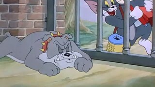 095   Smarty Cat [1955]