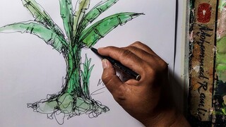 MENGGAMBAR POHON PISANG SEDERHANA