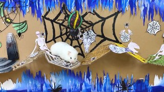 ภารกิจของหนูแฮมสเตอร์ EP 347