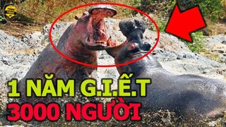 🔴 Khóc Thét Với Quái Vật Một Năm G,I.Ế.T 3000 N,G.Ư.Ờ.I Và Những Quái Thú Giang Hồ Nhất Thế Gian