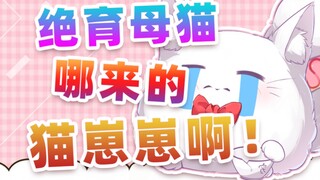 直播众筹奶粉钱?当事猫：已绝育，没下崽!