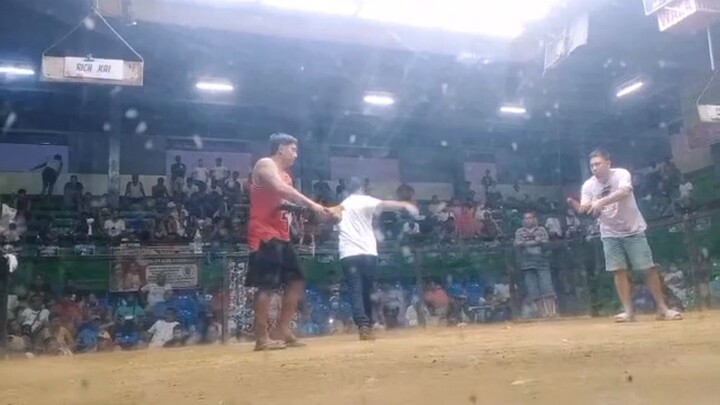 2 hits champion BULIK cros Dan gray