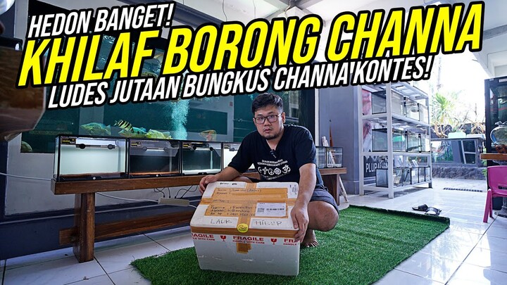 KEDATANGAN CHANNA KONTES!!! - BORONG KHILAF!!! DARI BANDUNG