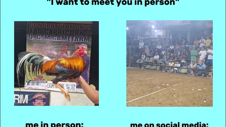 Boston hebron 2Xwinner