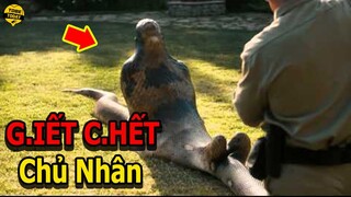 Khóc Thét Với Những Lần Thú Cưng Phản Chủ Đáng Sợ Nhất Khiến Hàng Triệu Người Kinh Hãi