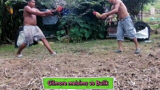 Gilmore melsims vs Bulik