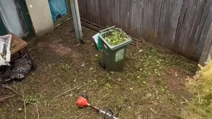 【فيديو تفريغ التوتر مع بانغ هو】الفيديو يجري تحميله الآن، سارع للاطلاع على المفاجأة!