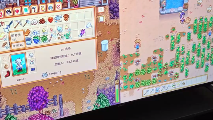 Switch card yang kubeli beberapa bulan lalu kupakai untuk tukar dengan koin dan dapatkan Stardew Val
