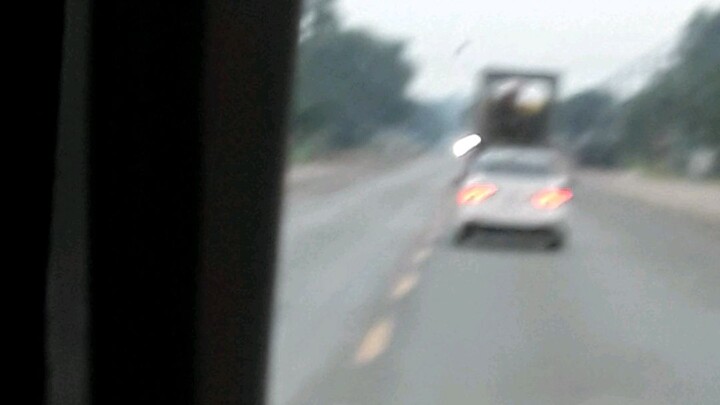 tôi đi đầm sen nè mn