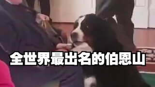 جبل بورن الأشهر في التاريخ، لم يكتفِ بقهر الرئيس الأيرلندي فحسب، بل صرخ أيضًا في وجه الرئيس الأمريكي