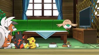 Pokemon sun and moon episode 116 in english