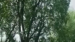 <> Isang Gabi Kasama ang Magandang Master, Nagising Bilang Isang Cultivator💯